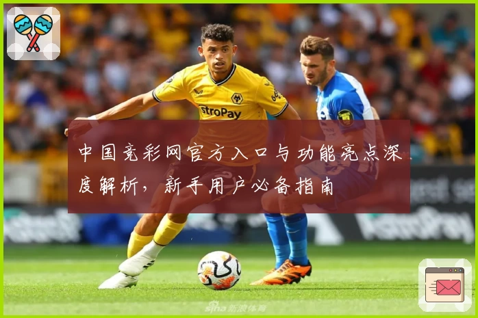 中国竞彩网官方入口与功能亮点深度解析，新手用户必备指南