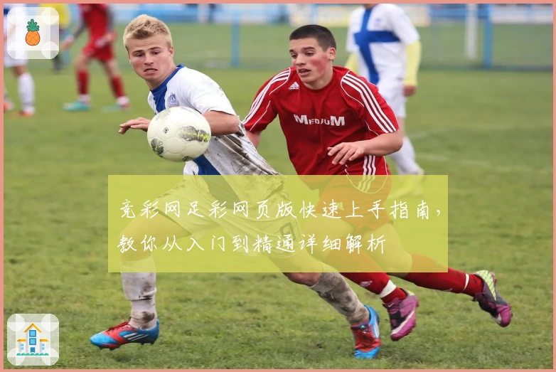 竞彩网足彩网页版快速上手指南，教你从入门到精通详细解析