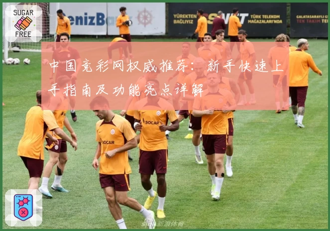 中国竞彩网权威推荐：新手快速上手指南及功能亮点详解