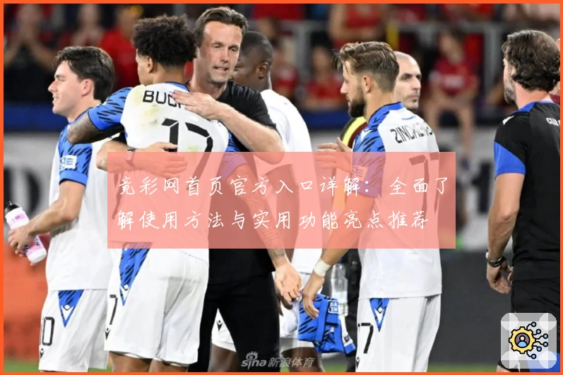 竟彩网首页官方入口详解：全面了解使用方法与实用功能亮点推荐